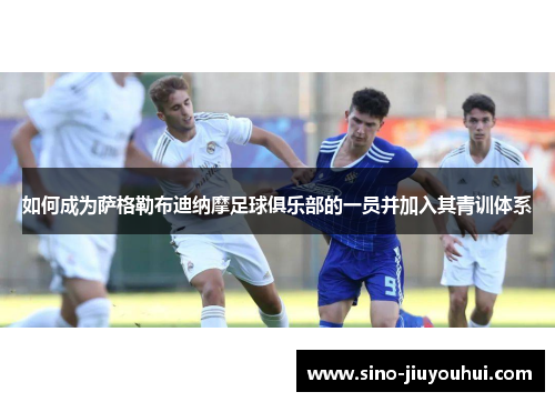 如何成为萨格勒布迪纳摩足球俱乐部的一员并加入其青训体系