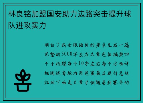 林良铭加盟国安助力边路突击提升球队进攻实力