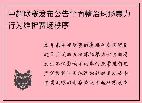 中超联赛发布公告全面整治球场暴力行为维护赛场秩序